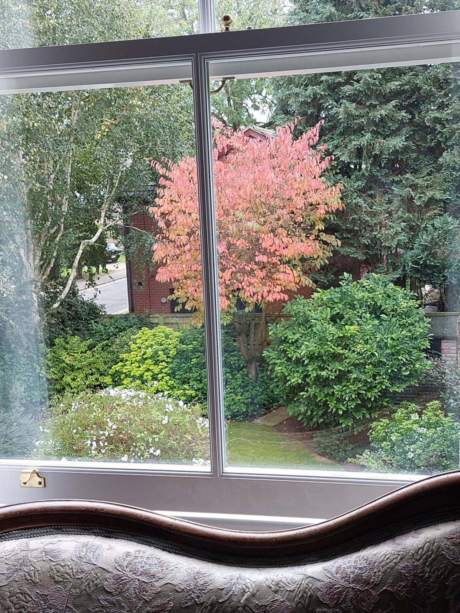 Banbury Cross B&B Экстерьер фото